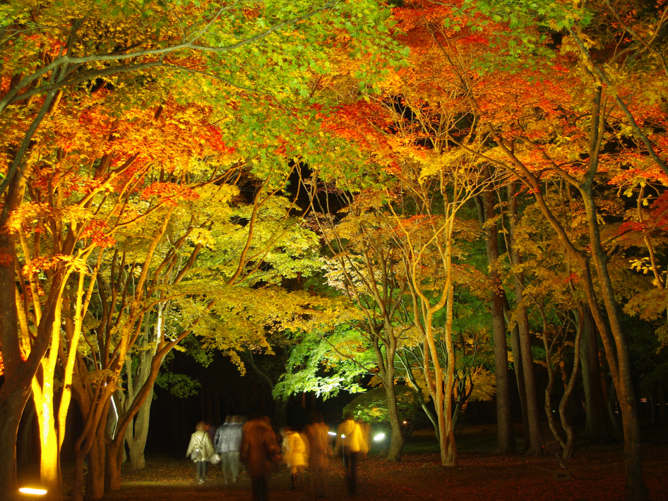 函館の景色